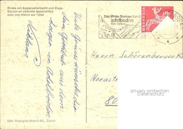 Ziege Knabe Appenzellertracht – Bild 2