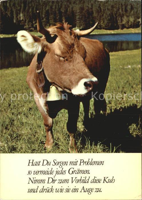 Kuehe Gedicht