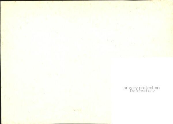 Voegel Gimpel Vogelhäuschen – Bild 2