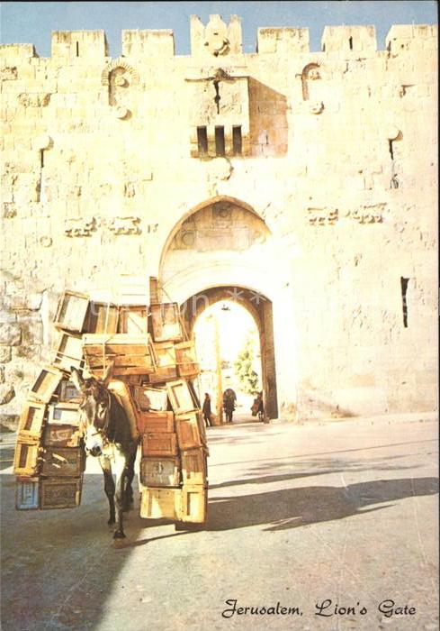 Jerusalem Yerushalayim Lions Gate