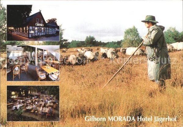 Gifhorn Morada Hotel Jägerhof Gastraum Terrasse