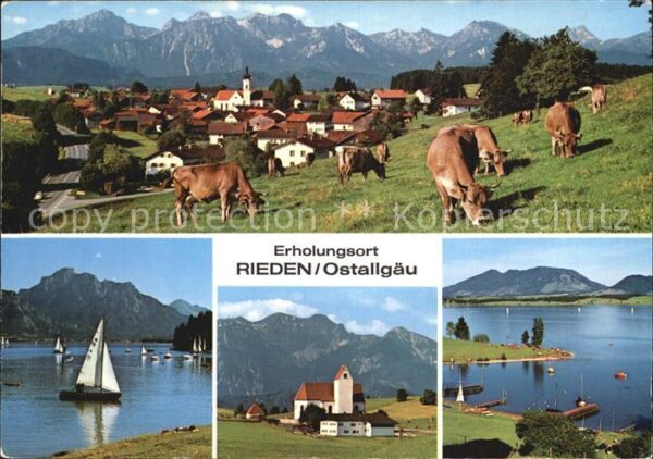 Rieden Allgaeu Panorama Weidevieh Segeln Kirche Seepar