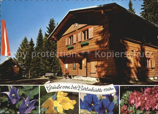 Kaernten Bertahütte Alpenflora