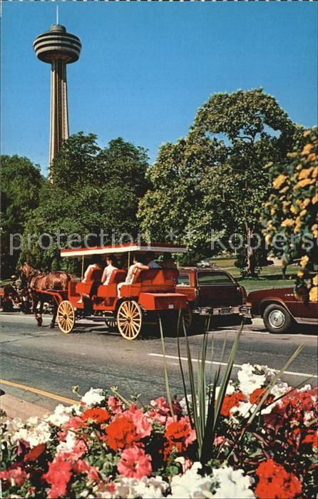 Niagara Falls Ontario Tower  Perched Pferdekutsche