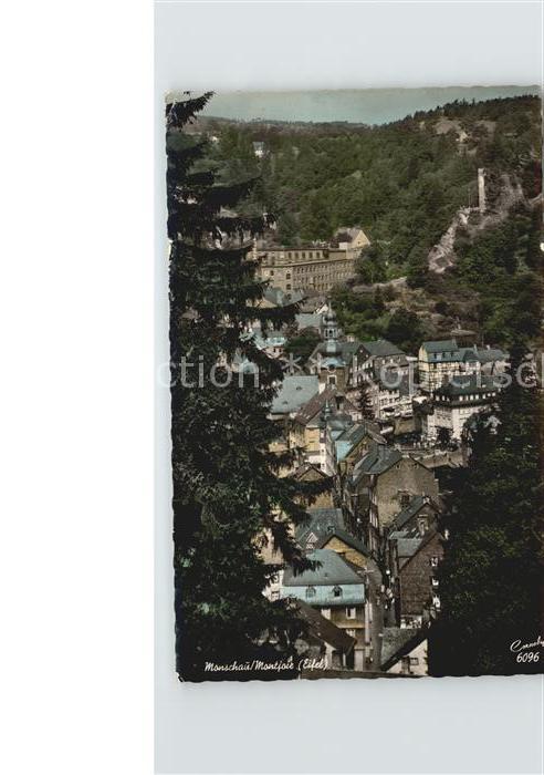 Monschau Stadtblick mit Burgruine Haller