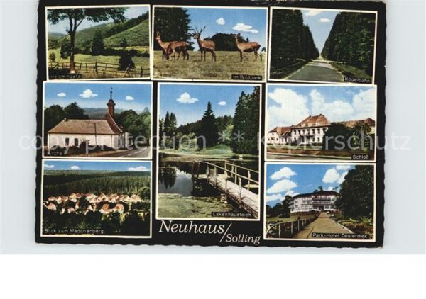 Neuhaus Solling Holzminden Wildpark Kirche Mädchenberg