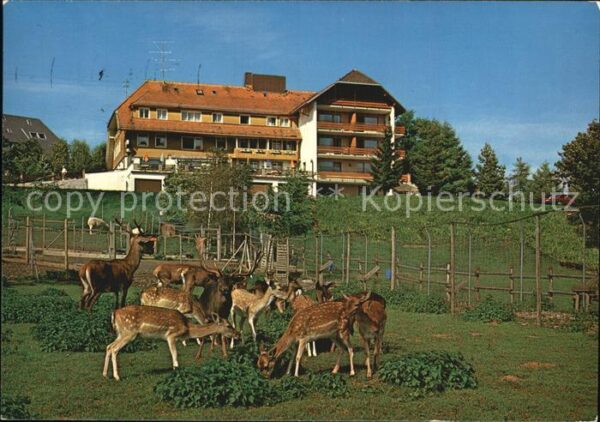 Haeusern Schwarzwald Wildpark Hotel Cafe Waldlust