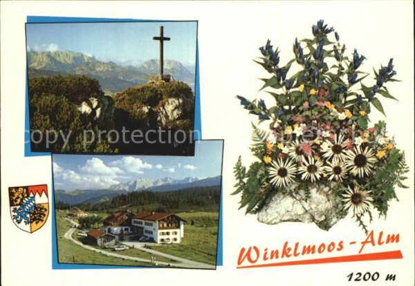 Reit Winkl Winklmoosalm Gipfelkreuz Alpen Blumenge