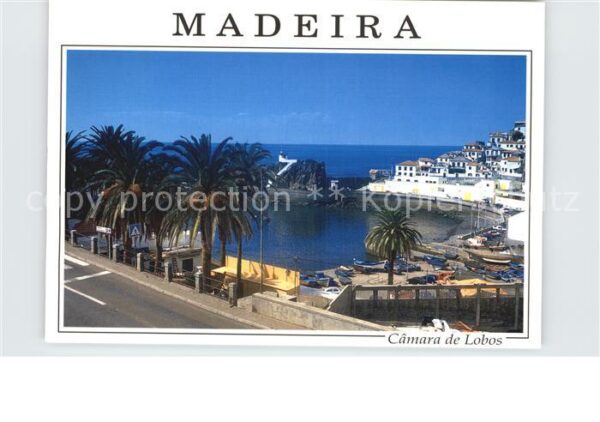 Camara de Lobos Madeira  Portugal Hafen Bucht