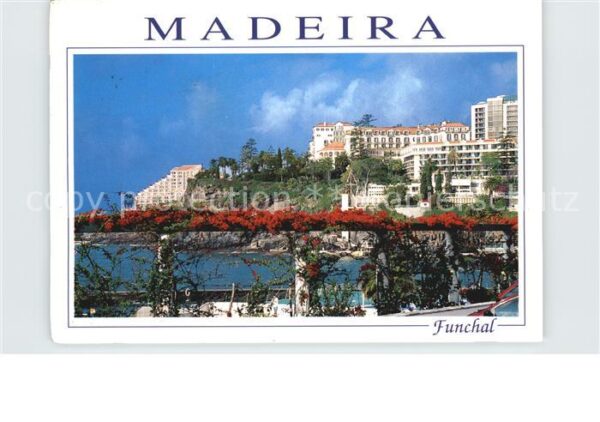 Funchal Hotels an der Küste