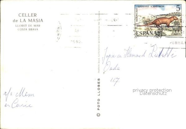 Lloret de Mar Celler de La Masia Gastraum Aussenansic – Bild 2