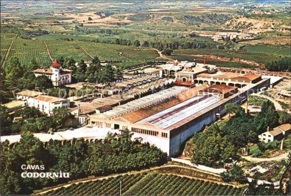 Cavas Codorniu Fliegeraufnahme