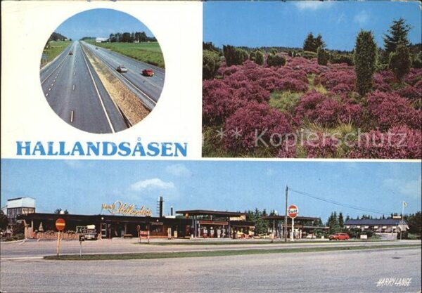 Bastad Hallandsasen