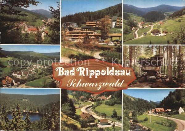 Bad Rippoldsau Schwarzwald Kurklinik und Kurmittelhaus Teilansicht