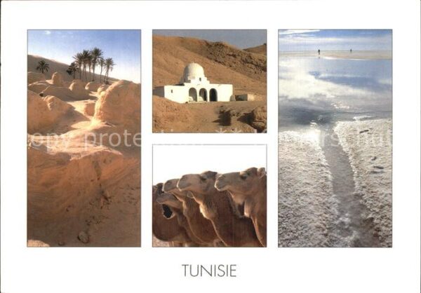 Tunesien Le Chott El Jerid