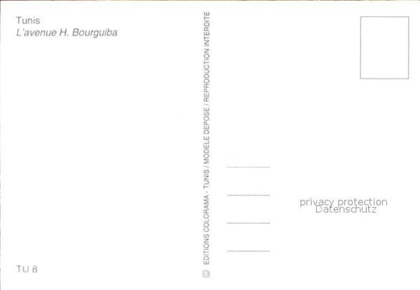 Tunesien L_avenue H. Bourguiba – Bild 2