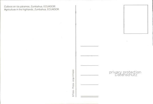 Zumbahua Panorama – Bild 2