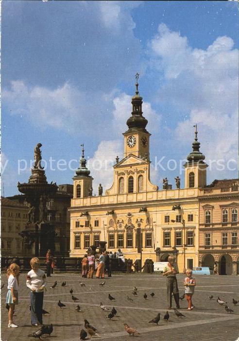 Ceske Budejovice Samson Brunnen