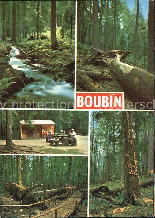 Boubin Prachatice Boehmerwald Waldpartien