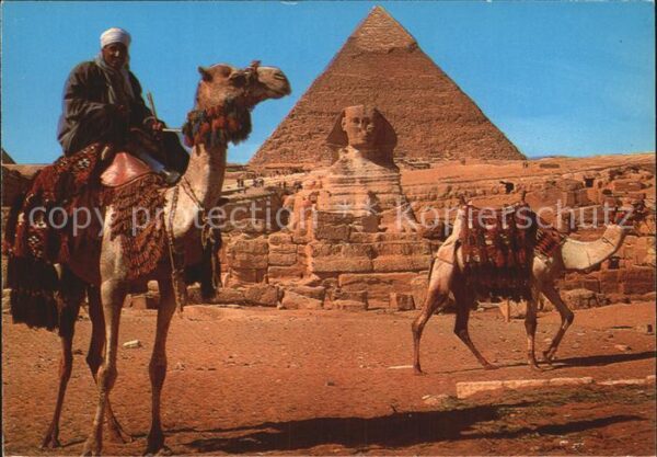 Kamel  Camel Chameau Camel driver Sphinx and Khafre Pyramid