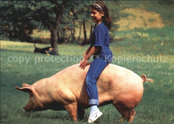 Schweine Kind