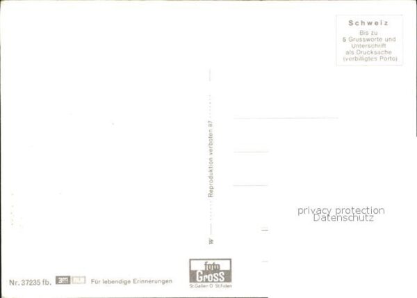 Schweine – Bild 2