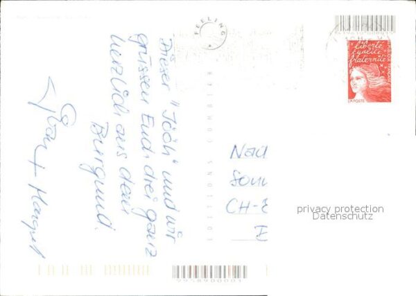 Hunde Welpe – Bild 2