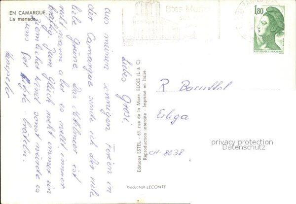 Pferde Camargue Manade – Bild 2