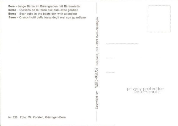 Baeren Bern Junge Bären Bärenwärter Bärengrabe – Bild 2