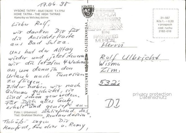 Gemse Vysoke Tatry Hohe Tatra Kamziky vo Veli – Bild 2