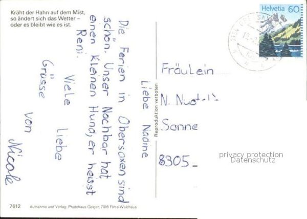 Gefluegel Hahn Huhn – Bild 2