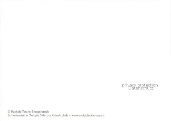 Schafe Multiple Sklerose Gesellschaft Schweiz – Bild 2