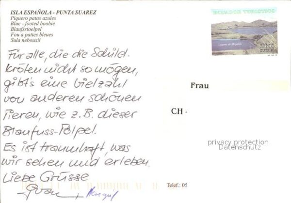 Voegel Blaufusstölpel Piquero Patas Azules Isl – Bild 2