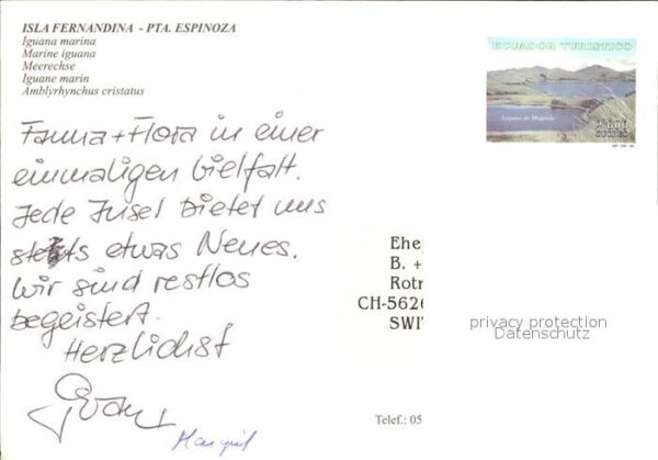 Tiere Reptilien Meerechse Iguana Marina Isla – Bild 2