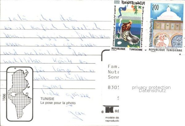 Kamel  Camel Chameau Tunisie – Bild 2