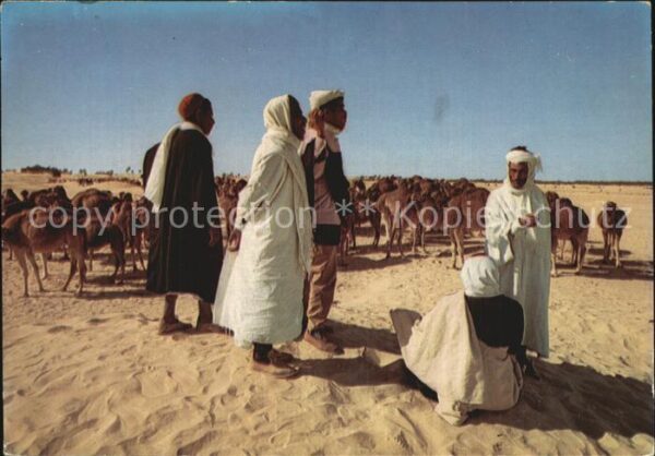 Typen Arabien Sud Tunisien