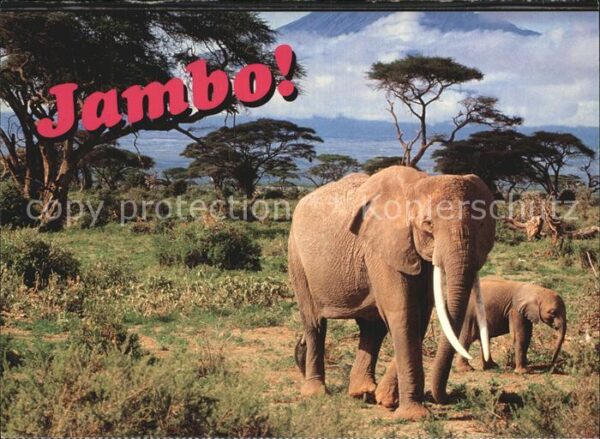 Elefant