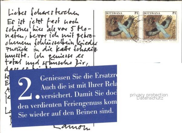 Elefant – Bild 2