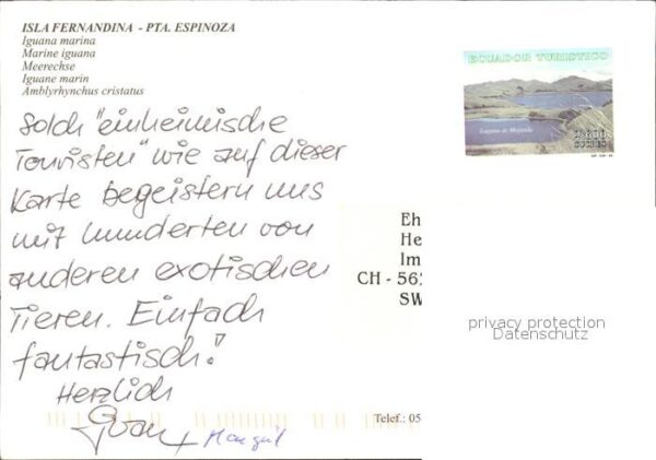 Tiere Reptilien Meerechse Iguana Marina Isla – Bild 2