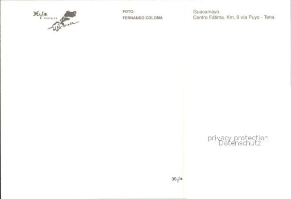 Papagei Ecuador – Bild 2