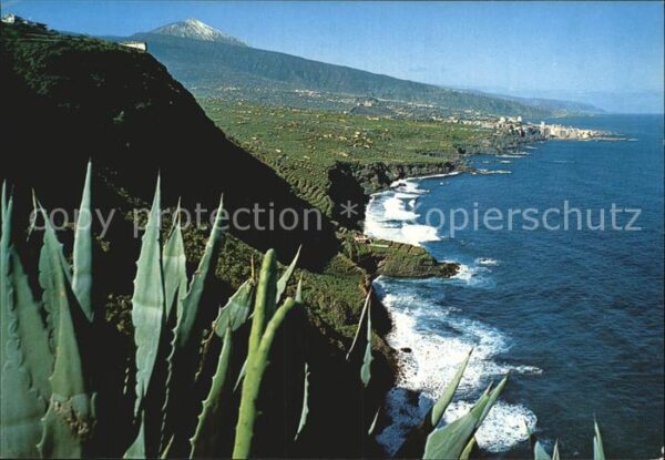 Teide (Berg) El Teide y la Costa Norte del Puerto