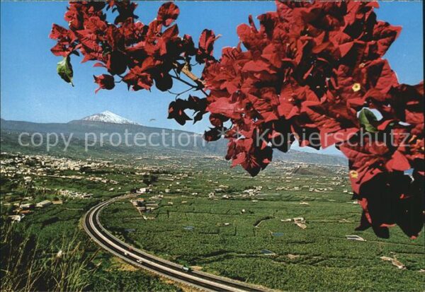 La Orotava Vista del Valle Autopista del Norte y T