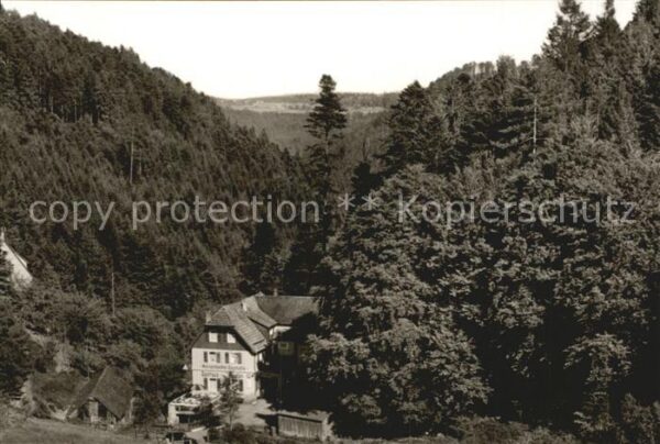 Bad Liebenzell Gasthaus Pension Waldfrieden