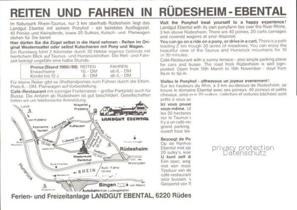 Ruedesheim Rhein Landgut Ebental Reiten und Fahren – Bild 2