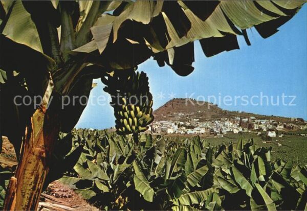 Gran Canaria Vista parcial de Arucas