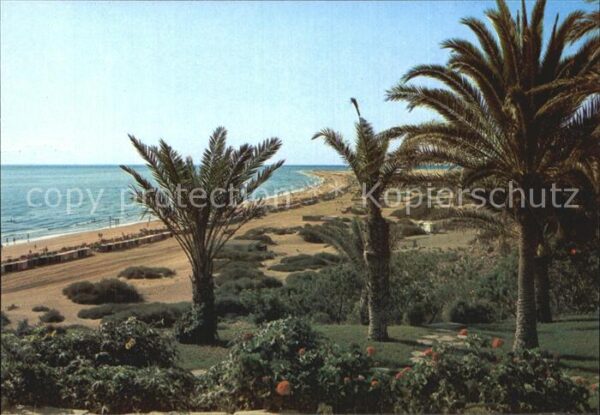 Playa del Ingles Vista parcial