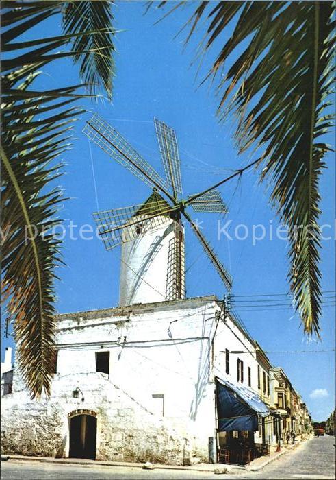 Ciudadela Tipico molino