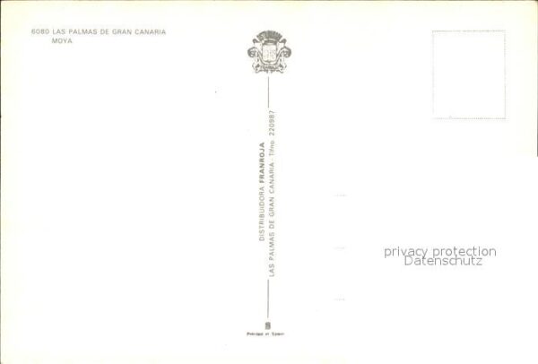 Las Palmas Gran Canaria Moya – Bild 2
