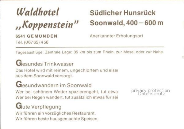 Gemuenden Hunsrueck Waldhotel Koppenstein – Bild 2