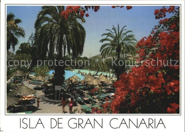 Puerto Rico Gran Canaria Drillingsblumen Palmen Schwimmbad